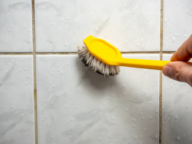 Best Certified Mold Removal  in Honea Path, SC