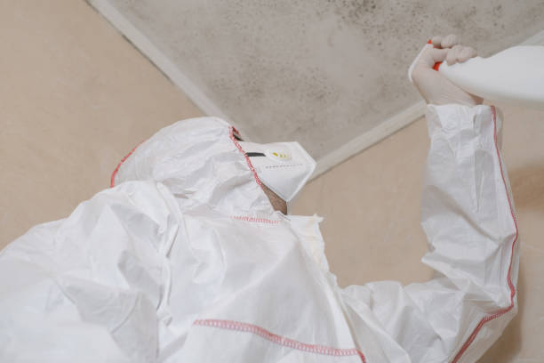 Best Toxic Mold Removal  in Honea Path, SC